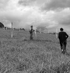 Two people walk in a field with lines of tree tubes extending into the distance