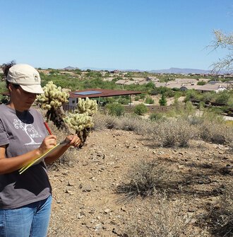 A Case Study Investigation researcher makes notes