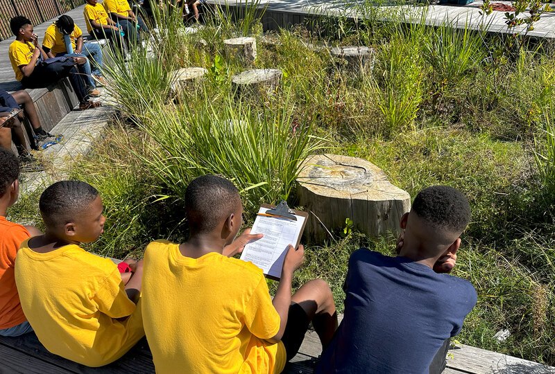 Students with clipboards are seated around a planted area with tree stumps
