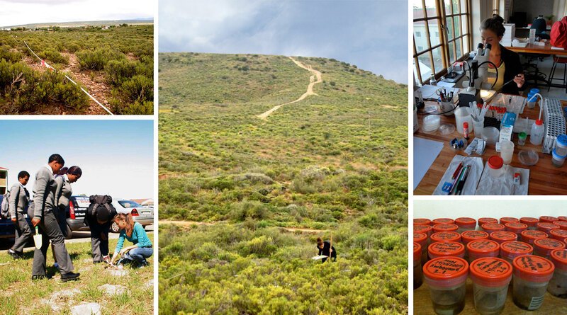 A compilation of photos from Olivia's work in South Africa