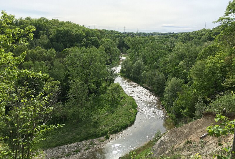 A view looking down on a creek winding through a forested landscape with an energy transmission corridor visible in the distance