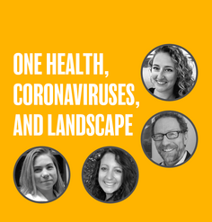 TEXT: "One Health, Coronaviruses, and Landscape" with headshots of the four webinar speakers 